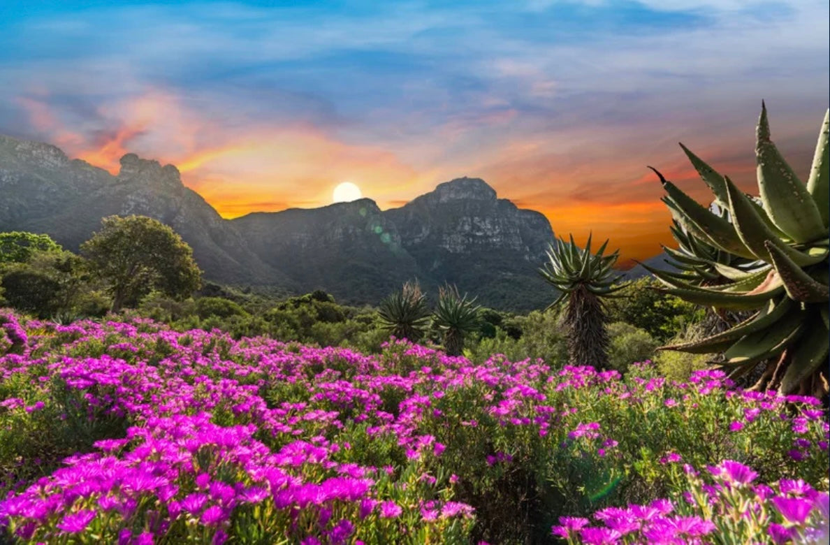 slider image slider_item_LXX87Y